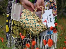 درباره کتاب همسایه ها از احمد محمود