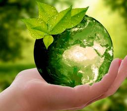 نقش و اهمیت کاربرد اسید هیومیک در کشاورزی پایدار