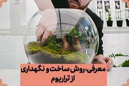 آموزش ساخت تراریوم و روش نگهداری