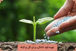 ساخت کود خانگی بری گل و گیاهان