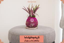 تاریخچه کوکداما و گیاهان مناسب برای آن