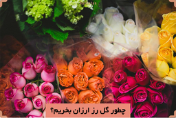 چطور گل رز ارزان بخریم؟