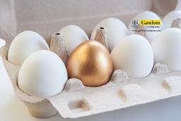 سود جوجه کشی چقدر است؟