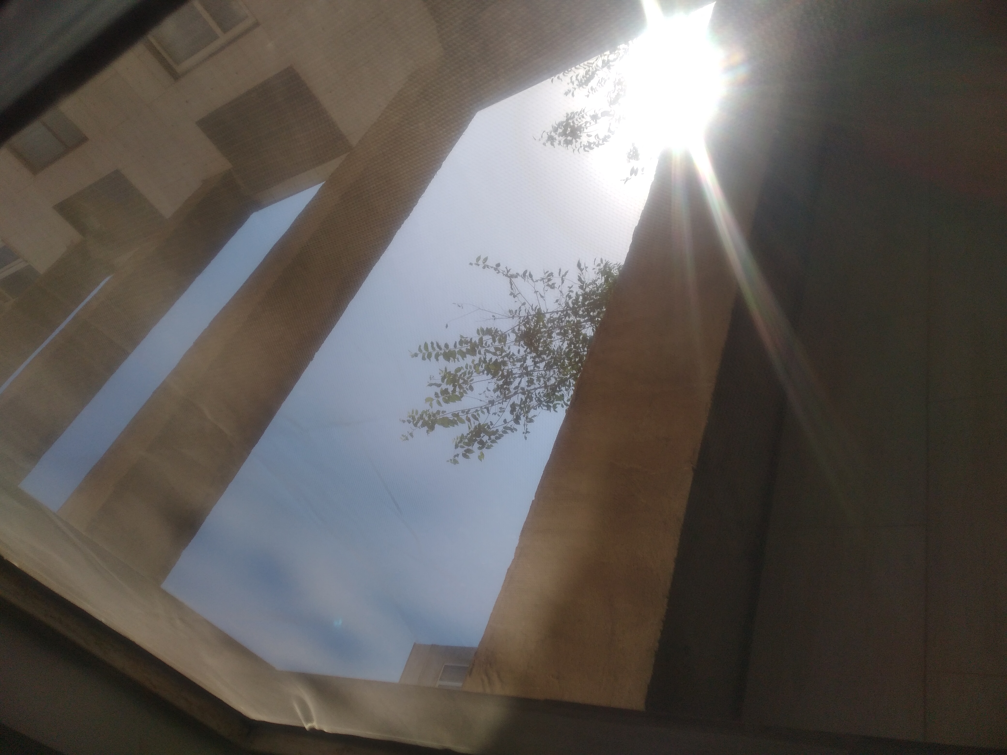 سهم روزانه من از آفتاب 🥰