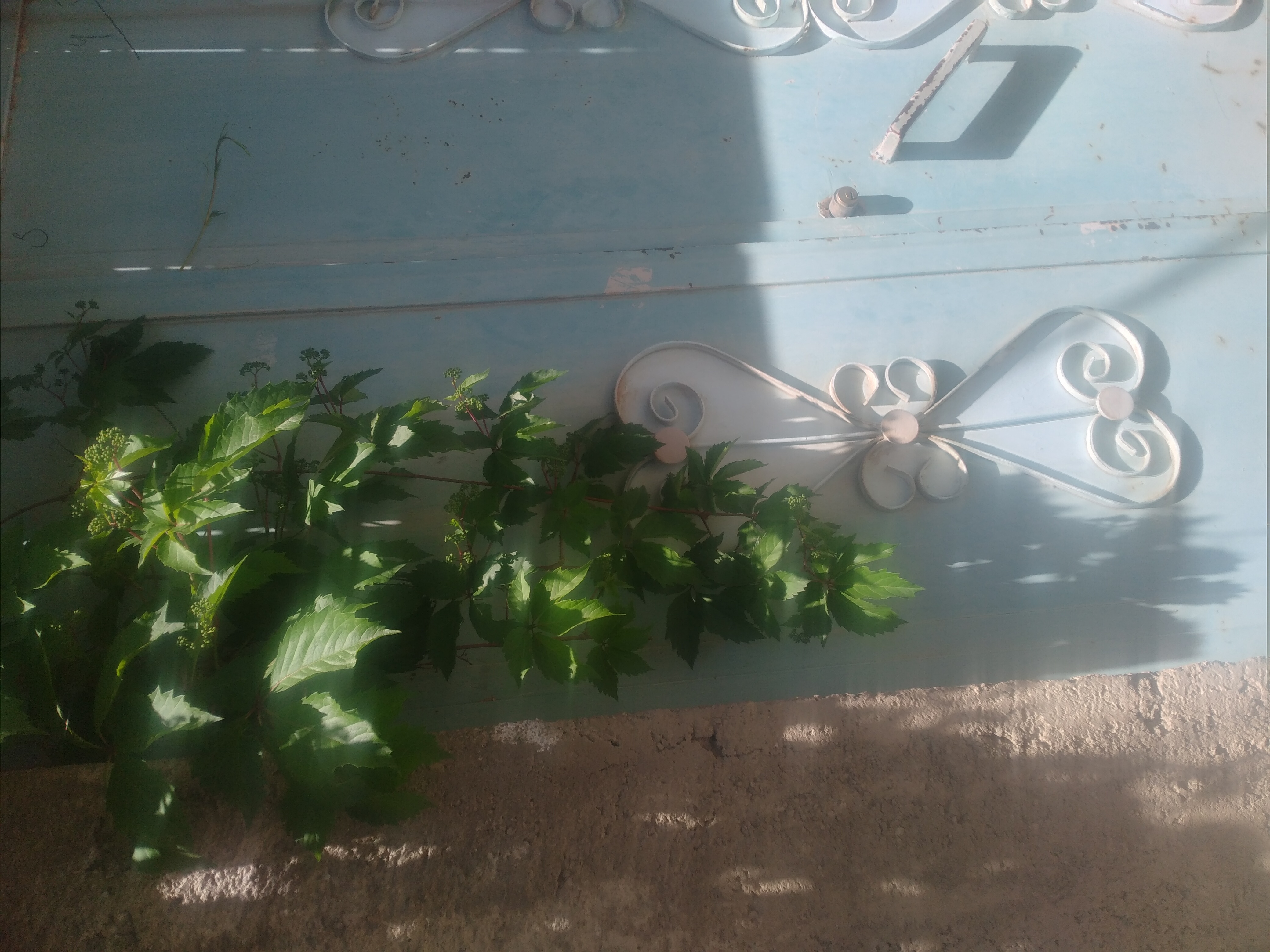 خونه قدیمی کوچه بن بست 💖