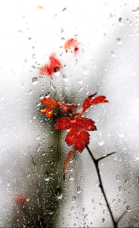 اینقدر بارون نیومد که اینو گذاشتم تصویر زمینه گوشی