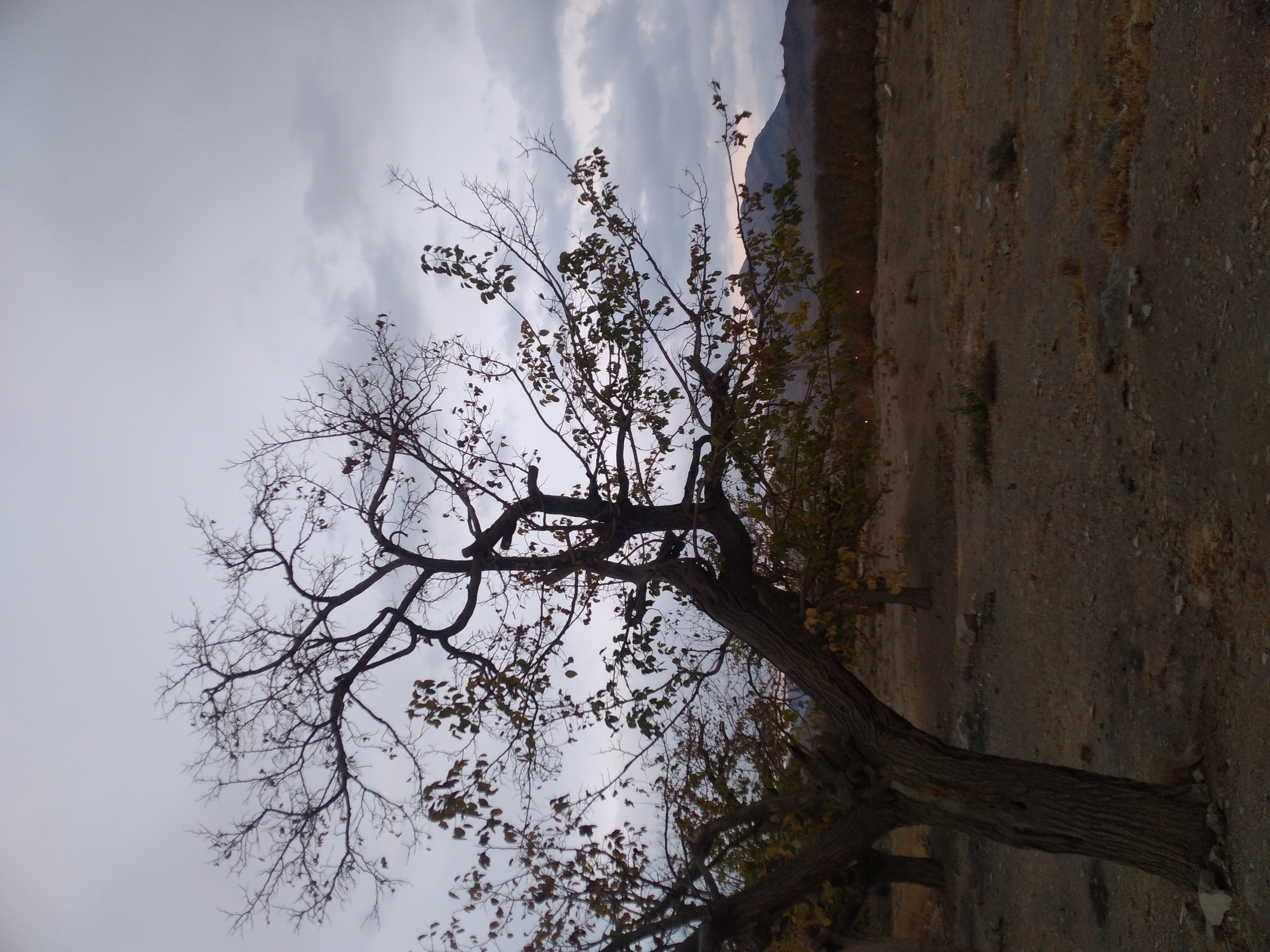 پس از باران 💦