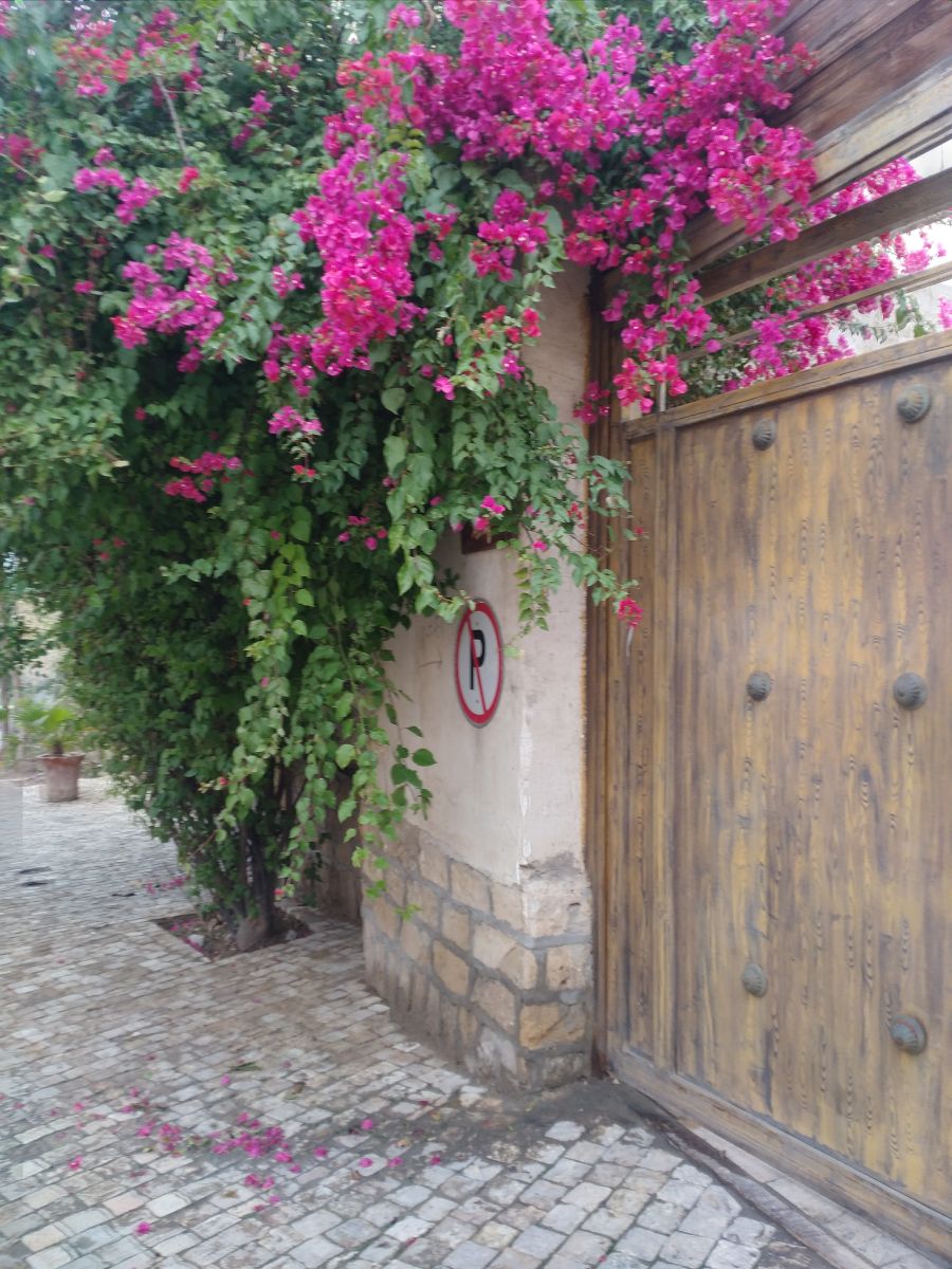 زیر  گل کاغذی  پارک نکنید .