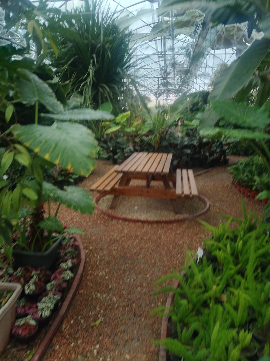 کافه گلخانه ، کرج ، چهار باغ 