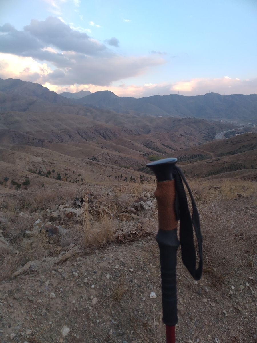 پای سوم و گاهی دست سوم .