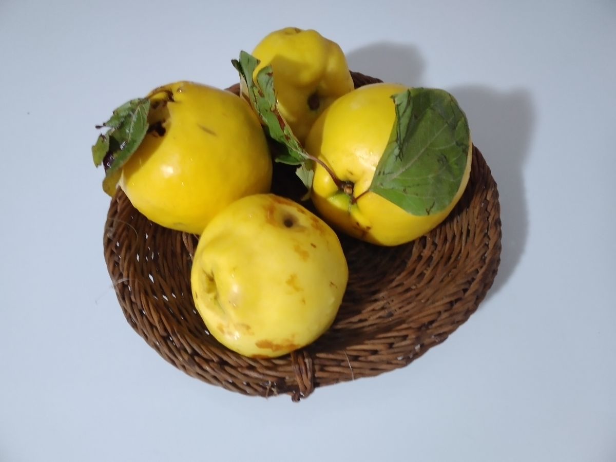 اینقدر خوبه که اسمش رو گذاشتن (به) 🧡