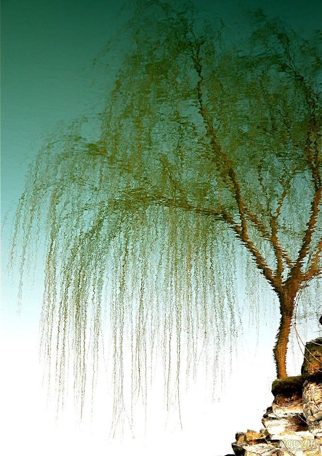 نَردی ست جهان که بردنش باختن است (دمی با ابوسعید ابوالخیر )