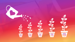 15 راهکار برای افزایش بازدید در اینستاگرام