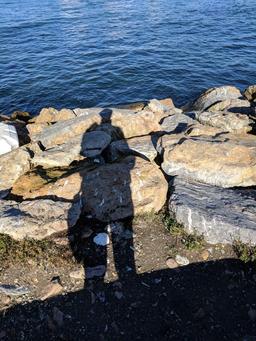 به بهانه کوله پشتی 97