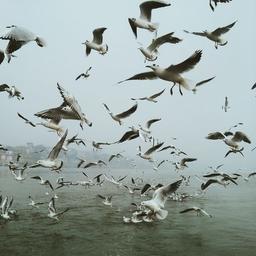 طالب بی‌قرار در جست‌وجوی قرار