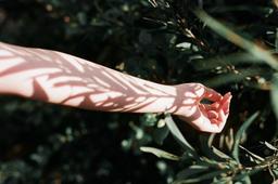 هر روز ساعت پنج عصر!