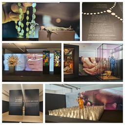 نمایشگاه تسبیح ۲