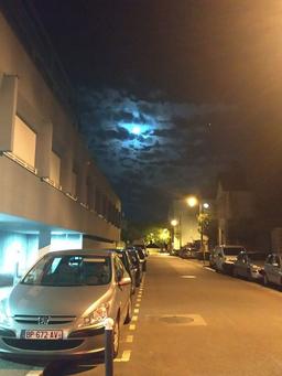 شب‌های هجران...