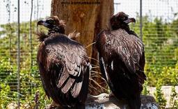 باغ پرندگان تهران