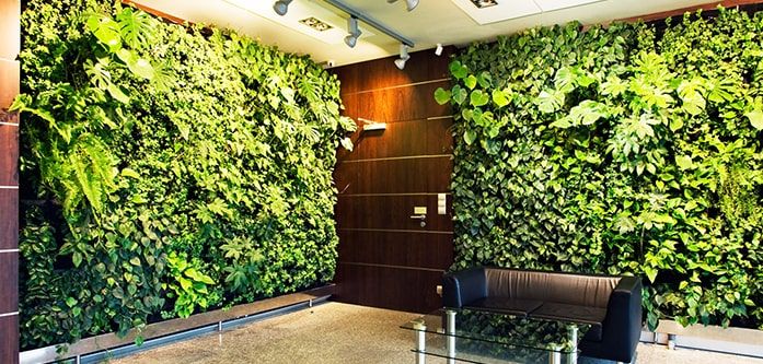 دیوار سبز برای فضاهای داخلی