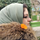 مائده عقابی