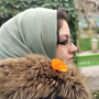 مائده عقابی