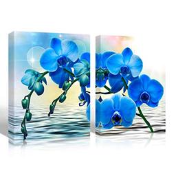 نمادهای رنگ گل ارکیده و خواص آن