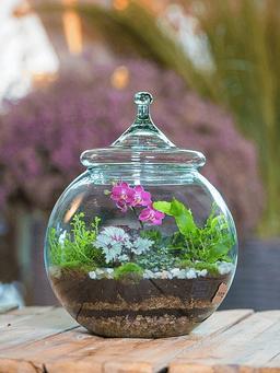 تراریوم چیست؟