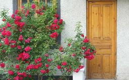 چطوری از دزدی در خانه جدید جلوگیری کنیم