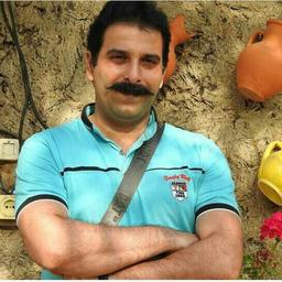 سگ های ولگرد دو چشمت