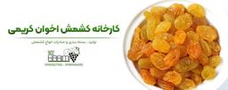 خرید کشمش ارزان ملایر