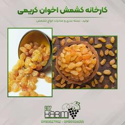 خرید کشمش ارزان ملایر از کشمش کریمی