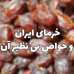 خرمای ایران و خواص بی نظیر و شگفت انگیز آن