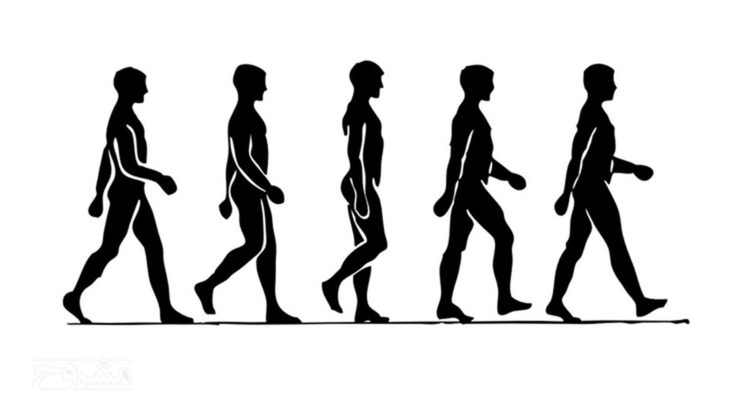 از همین چیزهای ساده شروع میشود!