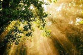 دست منبسط نور...