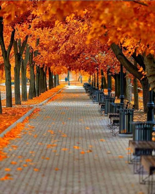 گواهی بخواهید، اینک گواه!