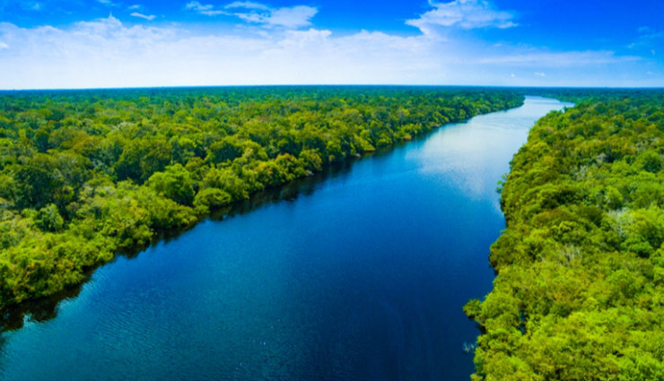 یک رود و صد مسیر، همین است زندگی...