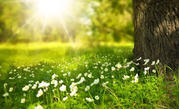 صدایِ تو از جنسِ آرامشه...