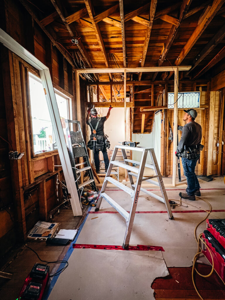 من توی جوانی هایم شغلم این بوده است.