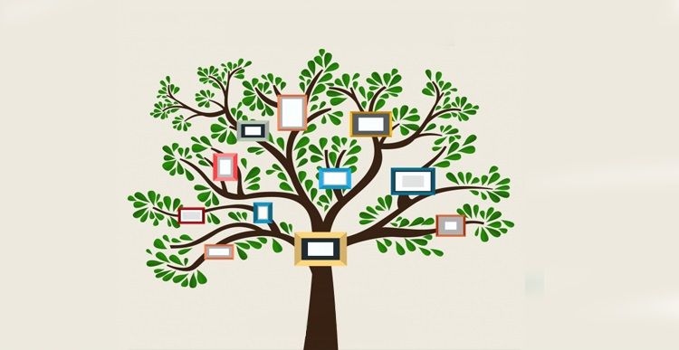 این موفق شده است تا اینجا برسد پس تصمیماتش را این می گیرد.
