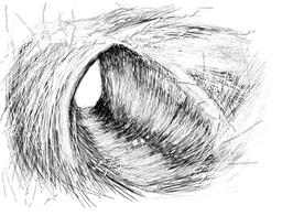 چگونه یک موتورجستجو بسازیم(8)؟