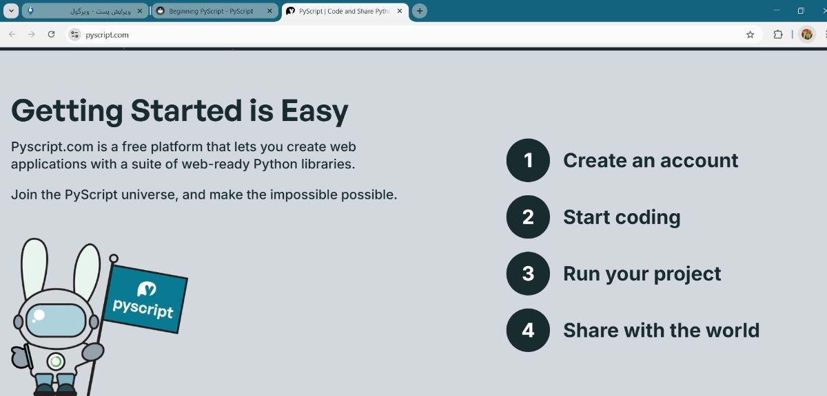 کارایی وب سایت پای اسکریپت