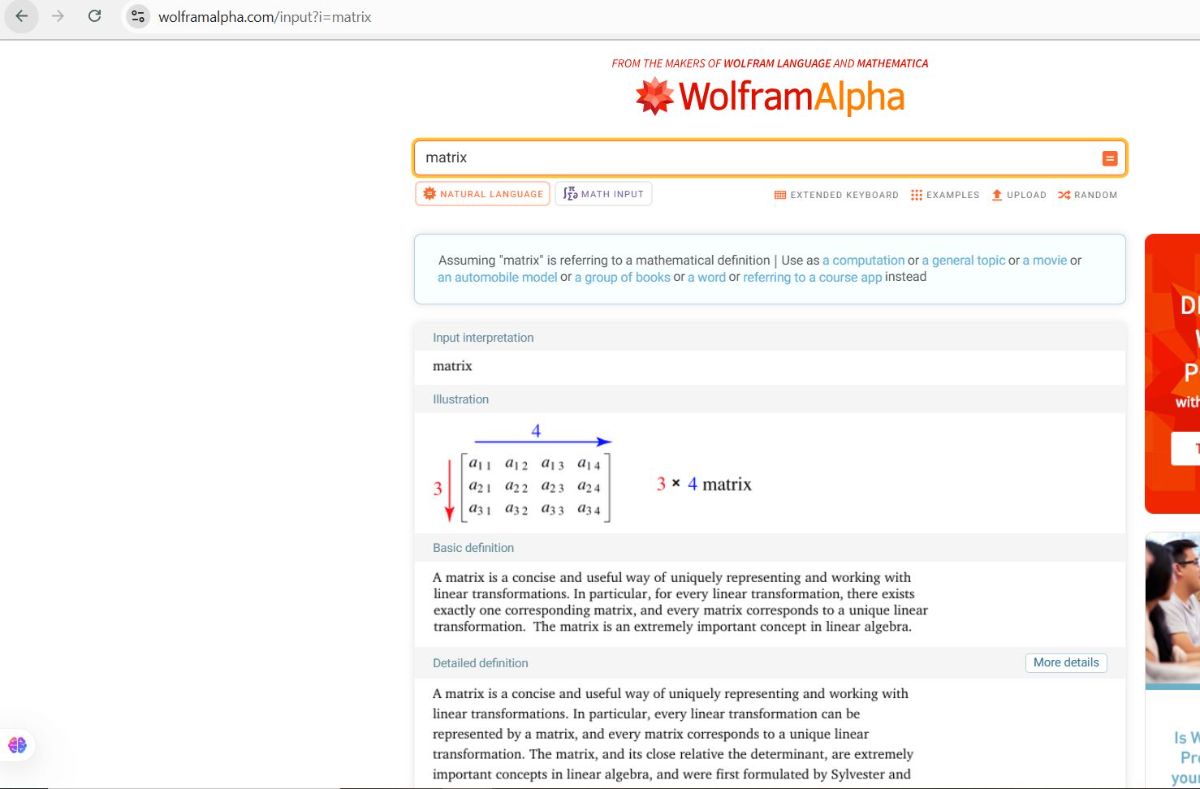 کلا دزدید این را به وفور می توان دید و مشاهده کرد چون که هرچه دویدم عقب غافله چیزی جز خودم را ندیدم.