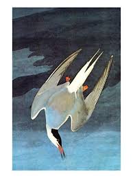 نقاشیی که داگ برای اولین بار توی کتابخونه میبینه