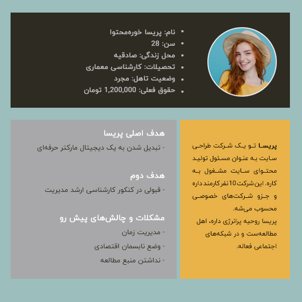 نمونه پرسونای شماره یک