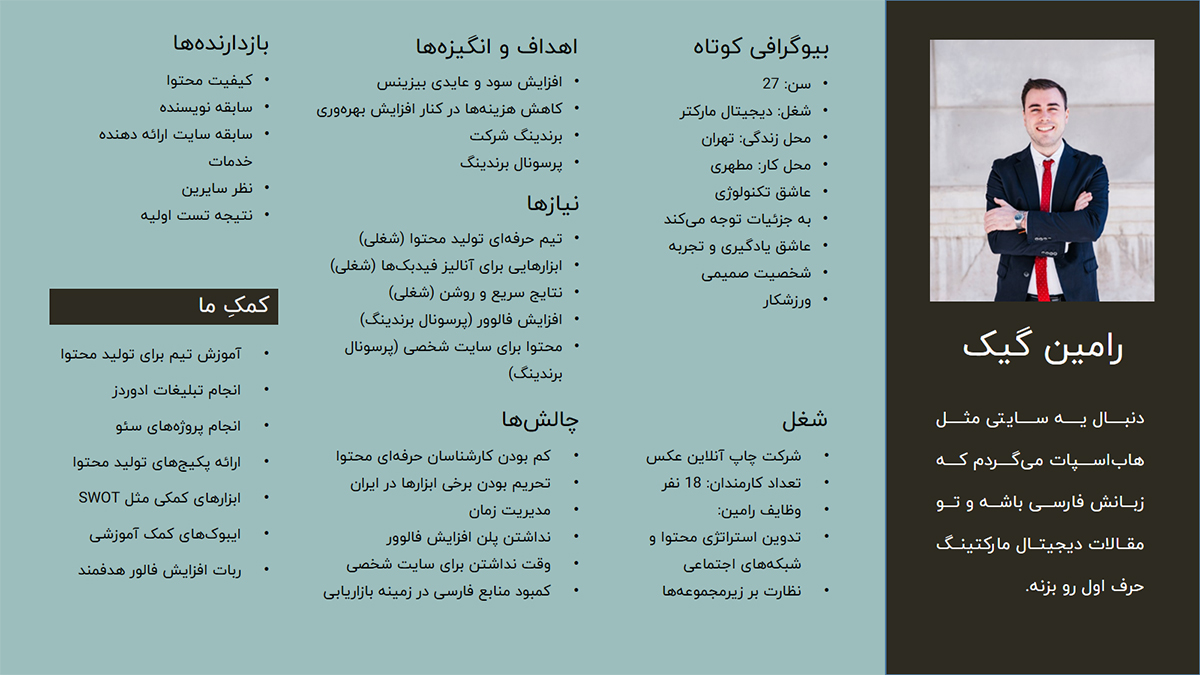 نمونه پرسونای شماره سه