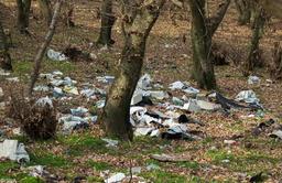 در برابر طبیعت شمال ایران آدم باشیم