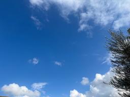 آن که یافت می نشود آنم ، آرزوست