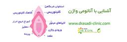 واژن و انواع آن: