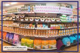 پت شاپ و همه چیز درباره خدمات ان